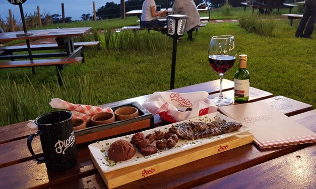 Amor a primera vista – Picnic